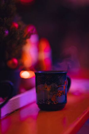 Winterwunder impressions Ulm 2023 2024 52 dd5d126a